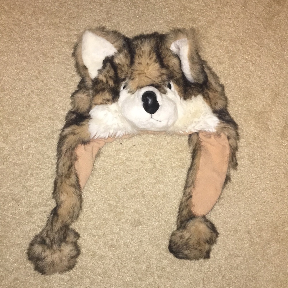 Dog hat